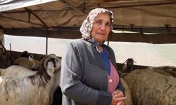 Gözyaşları sel oldu: Bir kuzudan büyüttüğü sürü, kurtlara kurban gitti