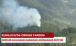 Kumluca’da orman yangını! Ekipler havadan karadan müdahale ediyor
