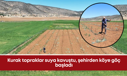 Kurak topraklar suya kavuştu, şehirden köye göç başladı
