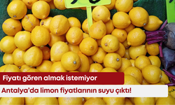 Antalya’da limon fiyatlarının suyu çıktı! Fiyatı gören kaçıyor