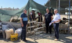Manavgat’ta ekipler kurbanlık denetiminde