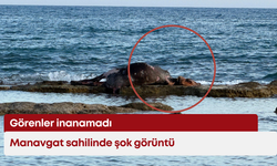 Manavgat sahilinde şok görüntü: Görenler inanamadı