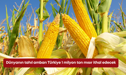 Dünyanın tahıl ambarı Türkiye 1 milyon ton mısır ithal edecek