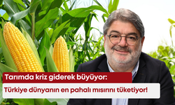 Tarımda kriz giderek büyüyor: Türkiye dünyanın en pahalı mısırını tüketiyor!
