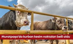Muratpaşa’da kurban kesim noktaları belli oldu