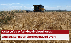 Antalya’da çiftçiyi sevindiren hasat: Oda başkanından çiftçilere hayati uyarı!