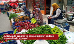 Antalya’da organik ve bitkisel ürünler sadece o pazarlarda satılıyor!
