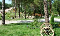 ORMAN PARKI İŞLETME HAKKININ KİRAYA VERİLMESİ İŞİ