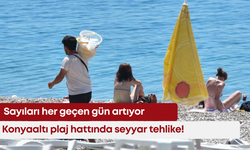 Konyaaltı plaj hattında seyyar tehlike! Sayıları her geçen gün artıyor