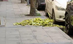 İstanbul Şişli'de eski eşini sokak ortasında öld*ren şahıs hakkında yeni detaylar