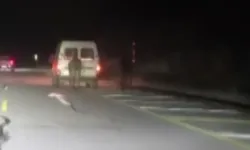 Sivas'ta vicdansızlık: Kamyonetin arkasına bağlanan atlar kilometrelerce koşturuldu