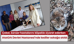 Çokal kanser hastalarını köpekle ziyaret ederken,  Atatürk Devlet Hastanesi’nde kediler sokağa atıldı!