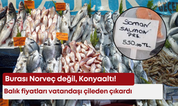 Burası Norveç değil, Konyaaltı! Balık fiyatları vatandaşı çileden çıkardı
