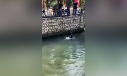 Antalya’da Suriye uyruklu şahıs, polisi görünce suya atladı, az daha boğuluyordu