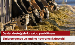 Devlet desteğiyle kırsalda yeni dönem: Binlerce gence ve kadına hayvancılık desteği