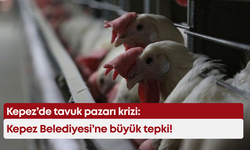 Kepez’de tavuk pazarı krizi: Kepez Belediyesi’ne büyük tepki!