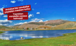 Antalya’da vandallar yaylaları mesken tuttu: Yaptıkları vandallık cezasız kalmadı!
