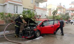 Antalya'da yangını seyreden afacanlardan gülümseten yorum
