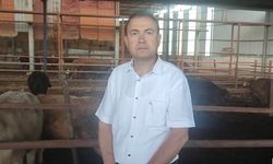 Manisa'da Kurban Bayramı öncesi korkunç son: Fotoğraf çekerken canından oldu