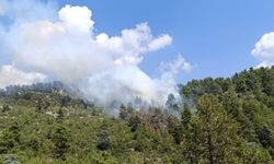 Denizli’de 2 ayrı noktada orman yangını