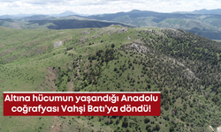 Altına hücumun yaşandığı Anadolu coğrafyası Vahşi Batı’ya döndü!