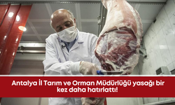 Antalya İl Tarım ve Orman Müdürlüğü yasağı bir kez daha hatırlattı!