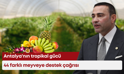 Antalya'nın tropikal gücü: 44 farklı meyveye destek çağrısı
