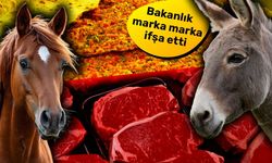 Antalya’da Kurban Bayramı’nın tadını kaçıracak skandal: 2 işletmede at ve eşek eti tespit edildi!