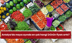 Antalya'da mayıs ayında en çok hangi ürünün fiyatı arttı?