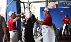 Antalya'da ücretsiz ve hijyenik kurban kesim hizmeti