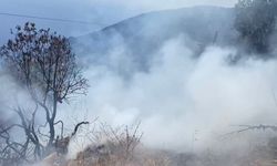 Gazipaşa'da bahçe yangını!
