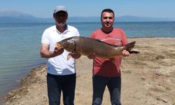 Beyşehir Gölü'nde 17 kiloluk dev sazan balığı yakalandı!