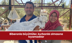 Biberonla büyüttüler, evlat gibi gördüler: Bulut artık ailenin bir ferdi
