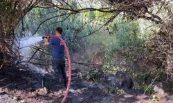 Bodrum'da otluk alan yangını kontrol altında