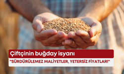 Çiftçinin buğday isyanı: "Sürdürülemez maliyetler, yetersiz fiyatlar!"