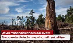 Çevre mühendislerinden acil uyarı: Tarım arazileri betonla, ormanlar rantla yok ediliyor