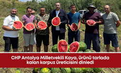 CHP Antalya Milletvekili Kaya, ürünü tarlada kalan karpuz üreticisini dinledi