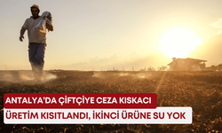 Antalya’da çiftçiye ceza kıskacı: Üretim kısıtlandı, ikinci ürüne su yok!