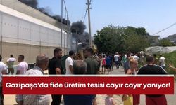 Gazipaşa'da fide üretim tesisi cayır cayır yanıyor!
