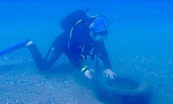 Caretta Carettalar için daldılar: Sahilde deniz dibi temizliği
