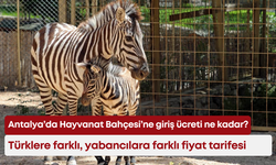 Antalya’da Hayvanat Bahçesi’ne giriş ücreti ne kadar? Türklere farklı, yabancılara farklı fiyat tarifesi
