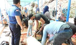 Kepez Belediyesi 9 ayrı noktada kesim hizmeti vermeye devam ediyor
