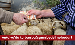 Antalya’da kurban bağışının bedeli ne kadar?