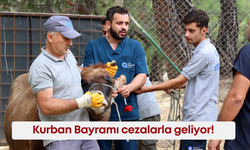 Kurban Bayramı cezalarla geliyor! İşte yasak olan uygulamalar...
