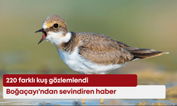 Boğaçayı'ndan sevindiren haber: 220 farklı kuş gözlemlendi