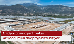 Antalya tarımına yeni merkez: 320 dönümlük dev proje bitti, bitiyor