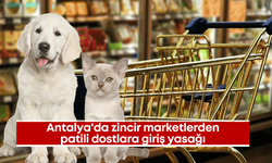 Antalya'da zincir marketlerden patili dostlara giriş yasağı