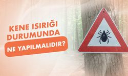 Antalya’da kene alarmı! Doğayla buluşmak isteyenler bu uyarıları dikkate alın…