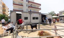 Mersin'de 23 kesim alanında güvenli ve hijyenik kurban kesimi