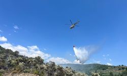 Muğla Menteşe'de Zeytinlik alanındaki yangın kontrol altına alındı!